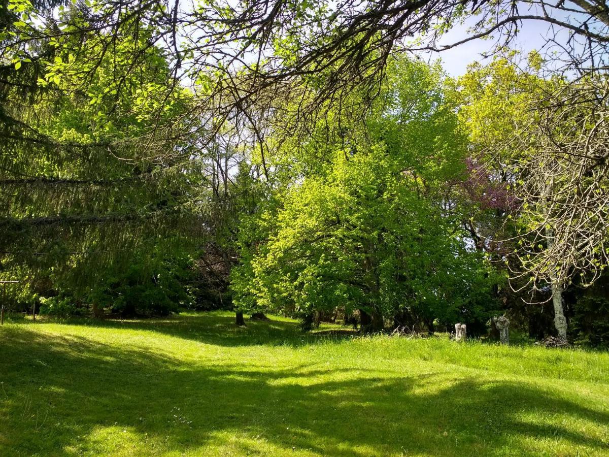 Pyrenees Vue Gite - Vues Fantastique, Parking Gratuit Sur Place & Piscine سان جودُ المظهر الخارجي الصورة