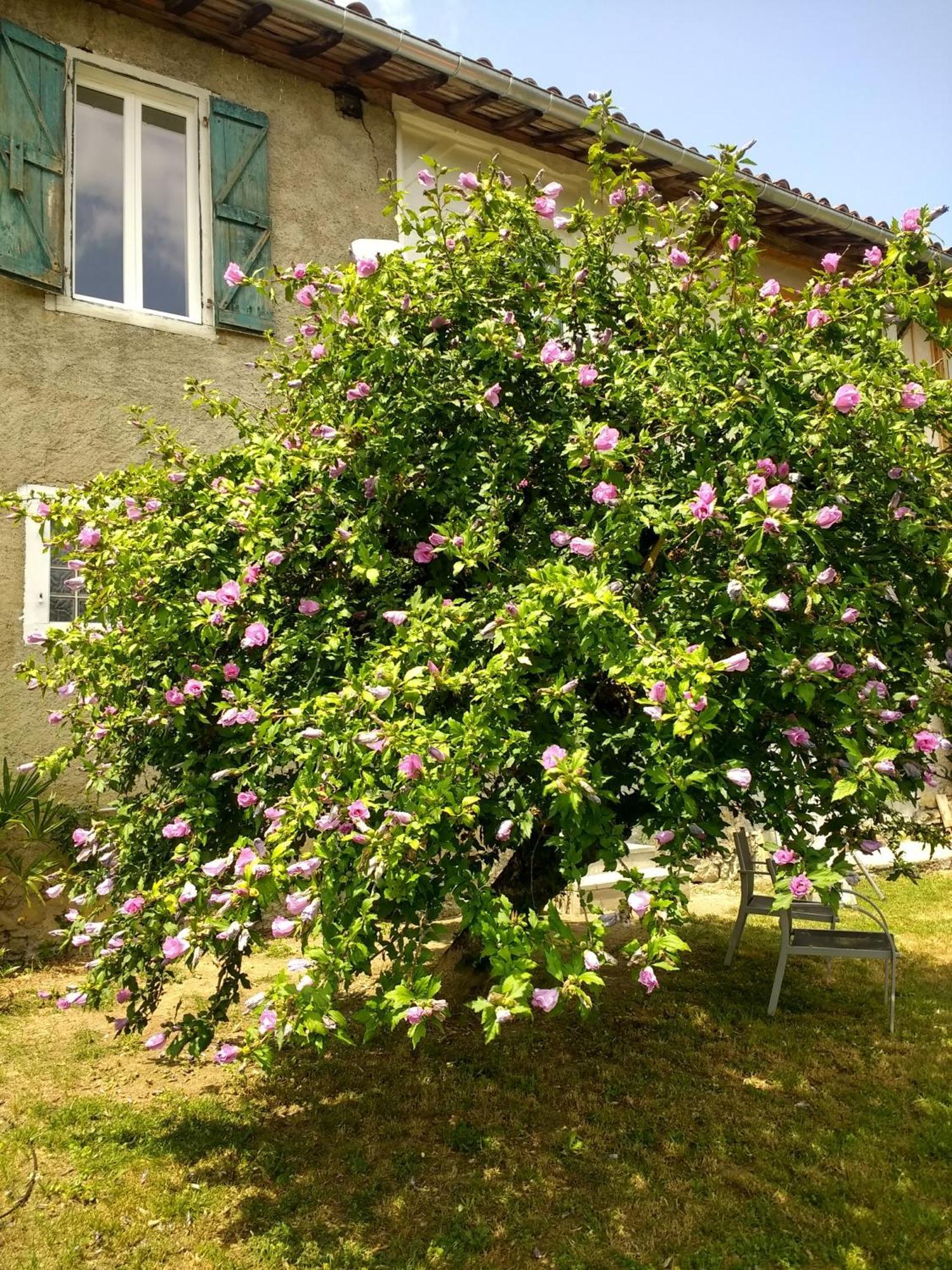 Pyrenees Vue Gite - Vues Fantastique, Parking Gratuit Sur Place & Piscine سان جودُ المظهر الخارجي الصورة